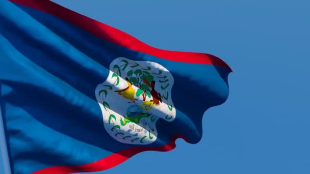 Belizes nationalflagga flyger i vinden. — Stockvideo