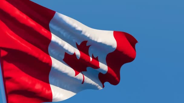 La bandera nacional de Canadá ondea con el viento — Vídeos de Stock