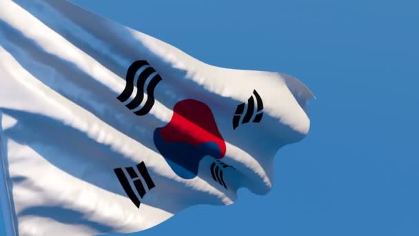 Le drapeau national de la Corée du Sud flotte dans le vent — Video