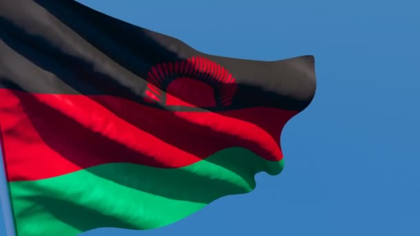 La bandera nacional de Malawi ondea en el viento contra un cielo azul — Vídeo de stock