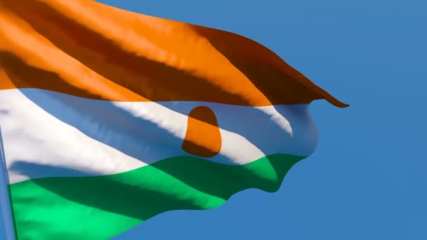 Nijer 'in ulusal bayrağı mavi gökyüzüne karşı rüzgarda dalgalanıyor — Stok video