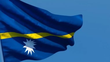 Nauru 'nun ulusal bayrağı mavi gökyüzüne karşı rüzgarda dalgalanıyor.