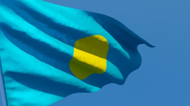 Palau 'nun ulusal bayrağı mavi gökyüzüne karşı rüzgarda dalgalanıyor. — Stok video