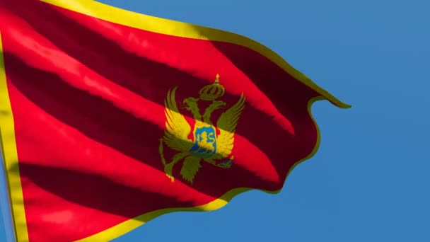 Montenegros nationella flagga fladdrar i vinden mot en blå himmel — Stockvideo