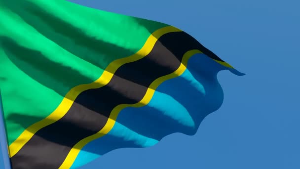 Tanzanias flagga fladdrar i vinden mot en blå himmel. — Stockvideo