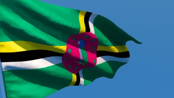 A bandeira nacional de Dominica flutters no vento contra um céu azul — Vídeo de Stock