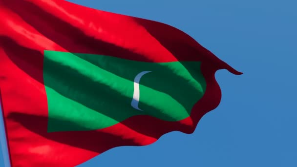 The national flag of Maldives flutters in the wind against a blue sky — Stock Video