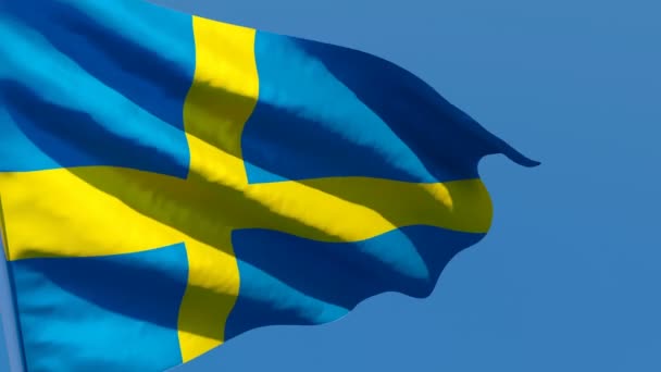 Sveriges flagga fladdrar i vinden mot en blå himmel — Stockvideo