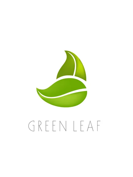 Green leaf logo on a white background — Stock Vector