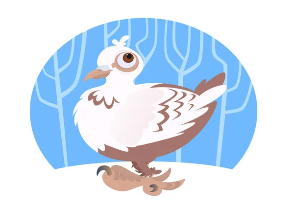 White Pigeon Blue Background — Stock Photo, Image