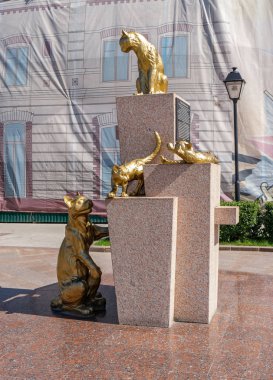 Tyumen, Rusya - 15 Temmuz 2018 Sibirya Kediler Parkı.