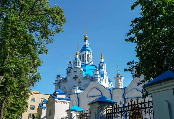 Pohled Znamenskou Katedrálu Městě Tyumen Rusko — Stock fotografie