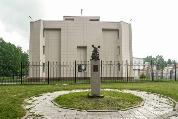 Nowosybirsk Rosja Lipca 2018 Pomnik Myszy Laboratoryjnej Przed Instytutem Cytologii — Zdjęcie stockowe