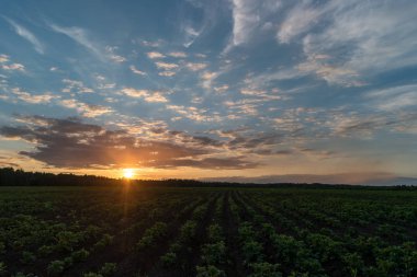 Sahada gün batımı