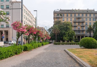 İtalya, La Spezia 'da bir yaz günü zakkum ağaçlarıyla dolu bir cadde manzarası.