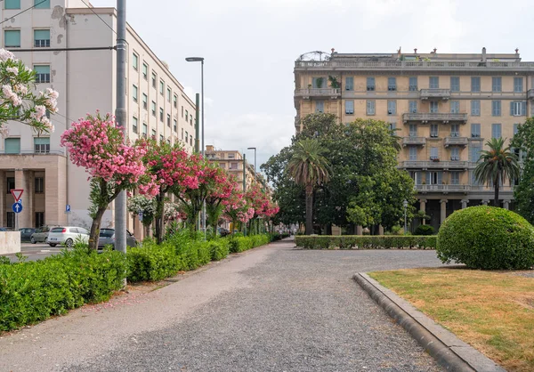 Blick Auf Eine Straße Mit Oleanderbäumen Einem Sommertag Spezia Italien — Stockfoto