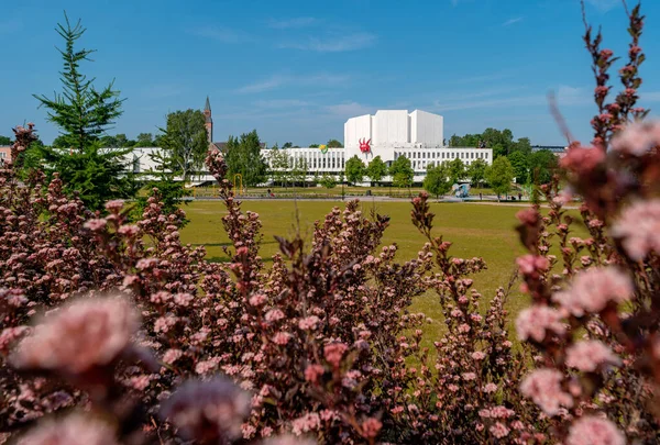 Helsinki Finlandia Junio 2019 Finlandia Hall Con Instalación Extraña Fruta — Foto de Stock