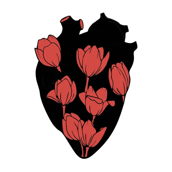 Lidské srdce s tulipány uvnitř — Stockový vektor