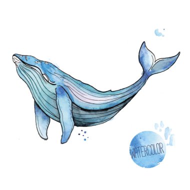 Vector illustration of watercolor whale clipart