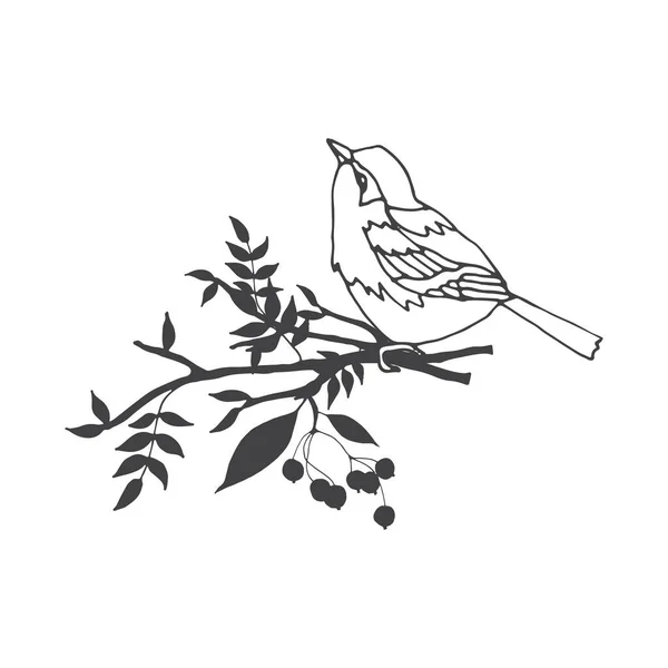 Векторная Композиция Птицы Ручной Работы Листьями Веточками — стоковый вектор