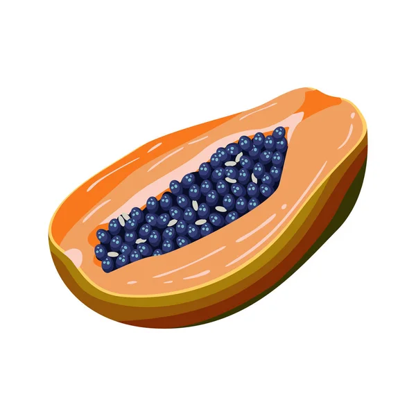 Papaya Frutas Verano Para Estilo Vida Saludable Ilustración Vectorial Estilo — Vector de stock