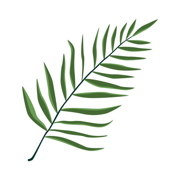 Тропический лист. Векторная иллюстрация в стиле мультфильма на белом фоне
.