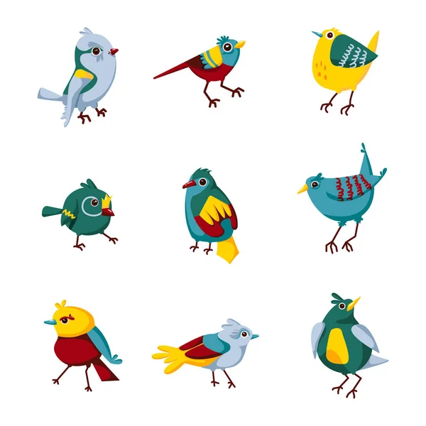Pájaros Dibujos Animados Lindo Conjunto Ilustración Vectorial Aislada Sobre Fondo — Vector de stock