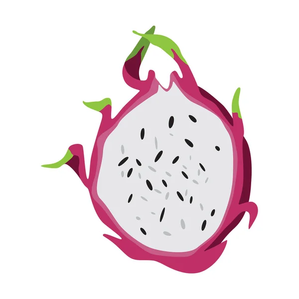 Tropische Früchte Pitaya Drachenfrucht Halbe Pitaya Für Webdesign Isoliert Auf — Stockvektor