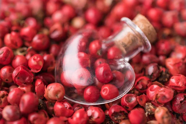 Rose (brazilian) pepper close up