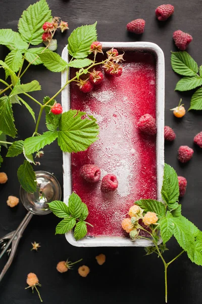 Hallonsorbet (frukt glass) i en behållare med hallon bär och blad på en svart bakgrund med sommar humör. — Stockfoto