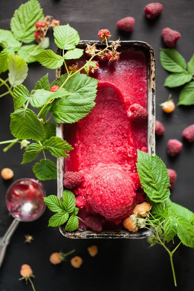 Έντονο καλοκαιρινό σορμπέ αναψυκτικό (φρούτα σέσουλα παγωτού) — Φωτογραφία Αρχείου