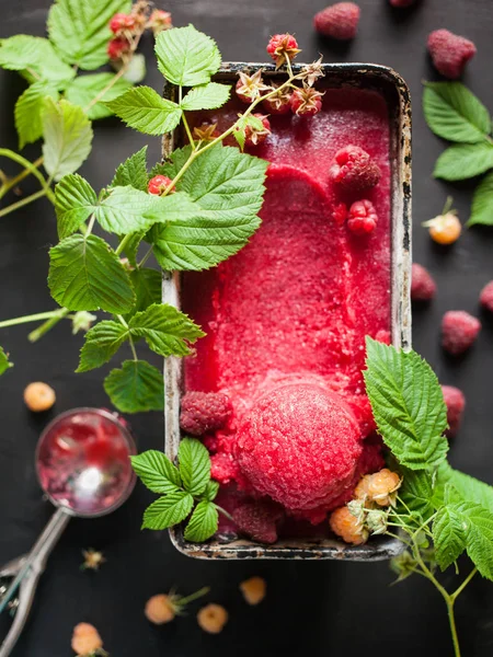 Hallonsorbet (frukt glass skopa) i en behållare. — Stockfoto