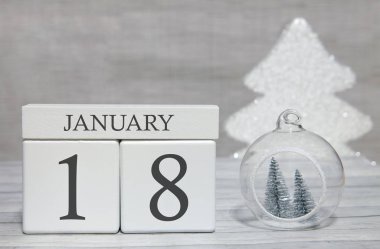 Yılın ilk ayı, rakamlarla dolu bir takvim ve 18 Ocak 'ta bir ay. Hatıra olarak Yeni Yıl Masalı.