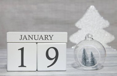 Yılın ilk ayı, rakamlarla dolu bir takvim ve 19 Ocak 'ta bir ay. Hatıra olarak Yeni Yıl Masalı.