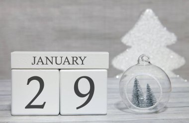 Yılın ilk ayı, rakamlarla dolu bir takvim ve 29 Ocak 'ta bir ay. Hatıra olarak Yeni Yıl Masalı.
