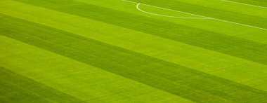Green grass soccer (football) field background, end of game