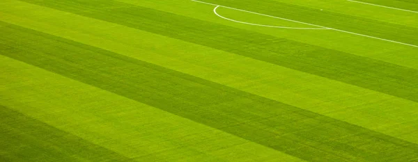 Campo di calcio erba verde (calcio) sfondo, fine della partita — Foto Stock