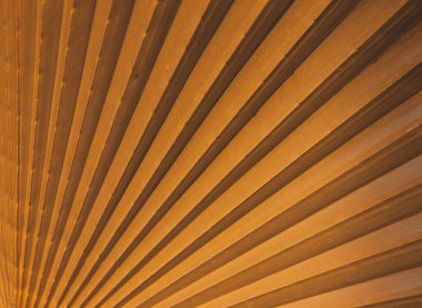 Large orange palm leaf fan-shaped, close-up, background or wallpaper