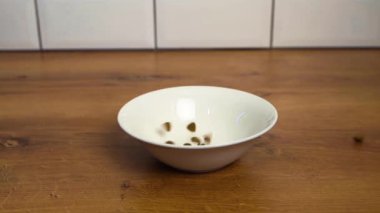 Yavaş çekimde düşen evcil hayvan mamaları. Kedi ya da küçük köpek için yiyecek.