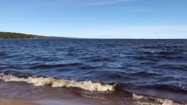 Sur Lac Eau Sombre Plage Avec Des Sons Des Vagues — Video