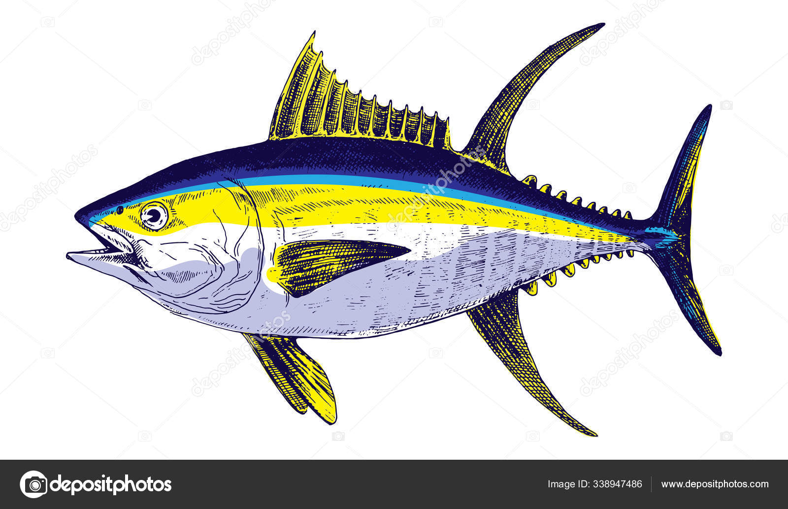 Pesca Del Atunストックベクター ロイヤリティフリーpesca Del Atunイラスト ページ 16 Depositphotos Pesca Del Atunストックベクター ロイヤリティフリーpesca Del Atunイラスト ページ 16 Depositphotos