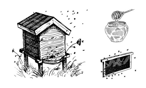 Bee Hives Apiary Beehive Tree Branch Bee Set Vector Images Stock Illustration