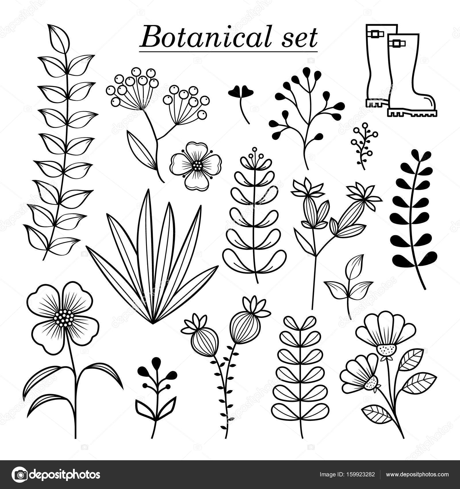 無料イラスト画像 100 Epic Best手書き ボタニカル 柄 イラスト