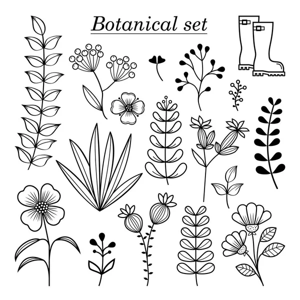 Ilustração botânica, coleção de flores e ervas silvestres desenhadas à mão, elementos de design de botânica vetorial —  Vetores de Stock