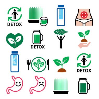 Detoks, meyve suları, sebze veya diyet ile temizlik vücut Icons set vektör