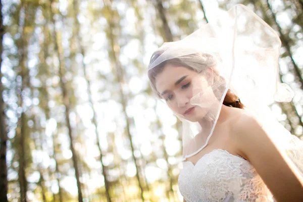 柔和而模糊的年轻新娘穿婚纱和白色的面纱 独自站在草地上 从太阳的边缘光 新娘在草甸概念 背景图像 复制空间 — 图库照片