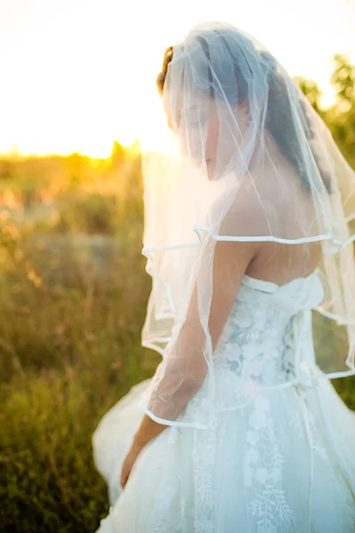 柔和而模糊的年轻新娘穿婚纱和白色的面纱 独自站在草地上 从太阳的边缘光 新娘在草甸概念 背景图像 复制空间 — 图库照片