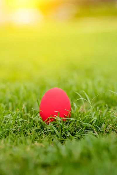 Bunte Ostereier Hintergrund Feiertag Osterhintergrund Bunte Ostereier Auf Dem Grünen — Stockfoto