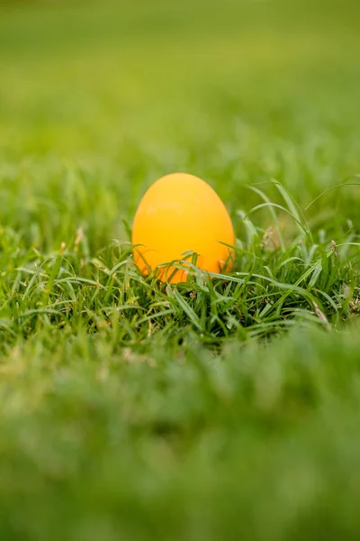 Πολύχρωμα Πασχαλινά Αυγά Φόντο Διακοπές Πάσχα Φόντο Πολύχρωμα Πασχαλινά Αυγά — Φωτογραφία Αρχείου