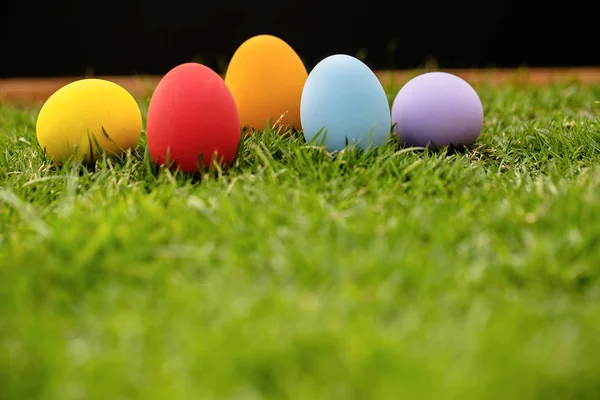 Colorful Easter eggs background. holiday, easter background. Colorful easter eggs on the green garden yard. symbol of easter\'s day festival. vivid color natural background. festive wallpaper.